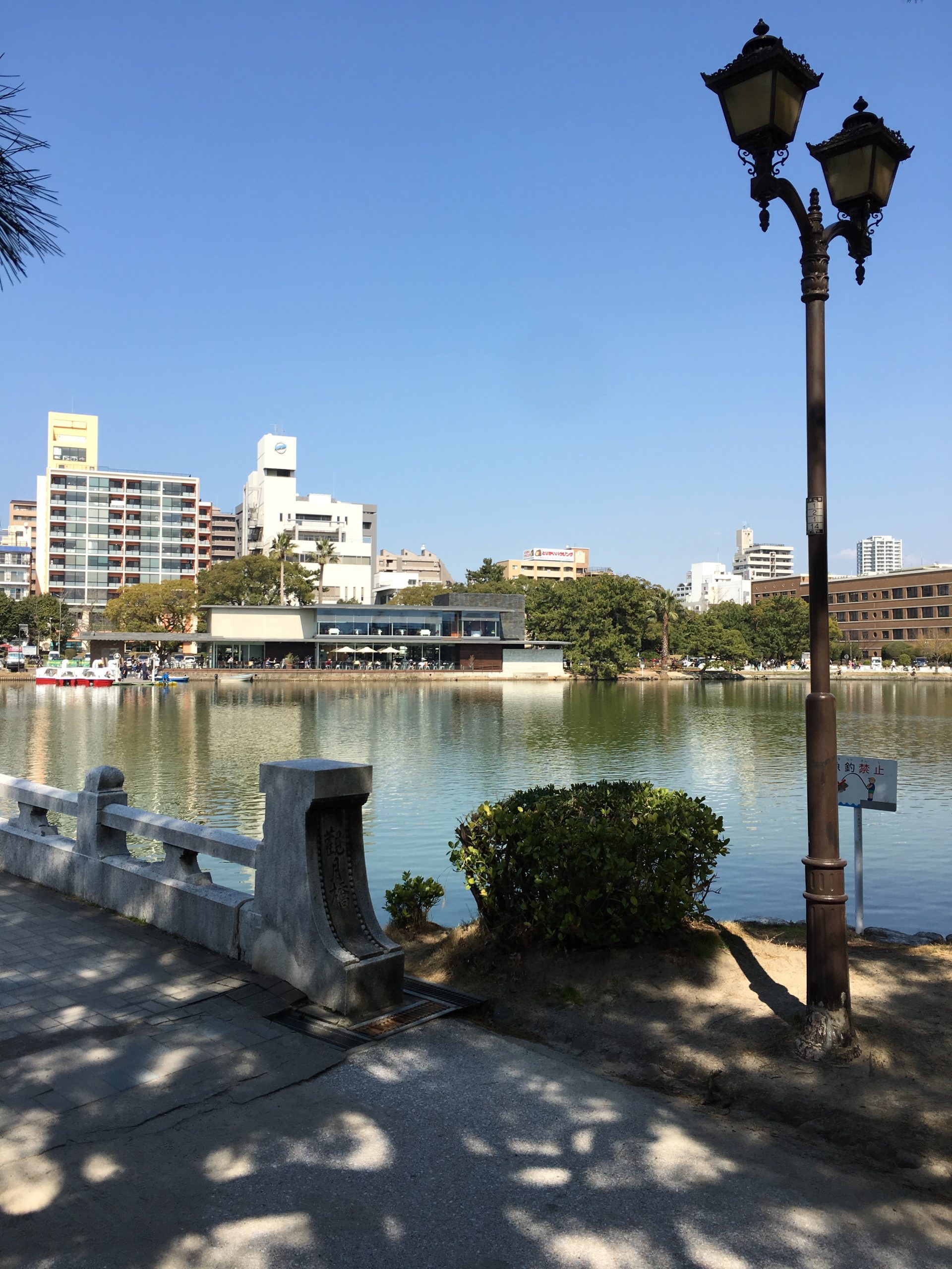 Walking paths around the water