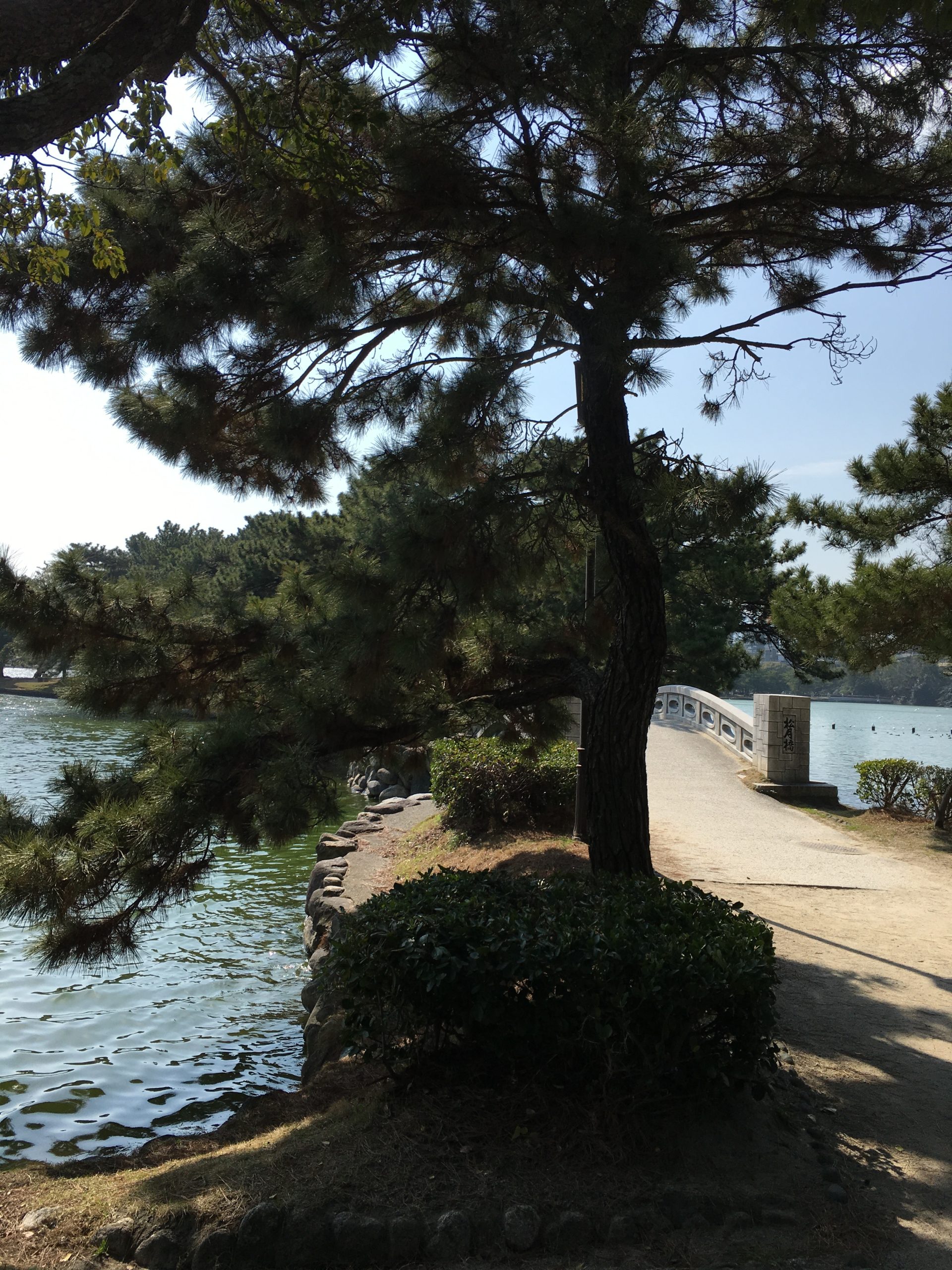 Lakeside greenery and open spaces
