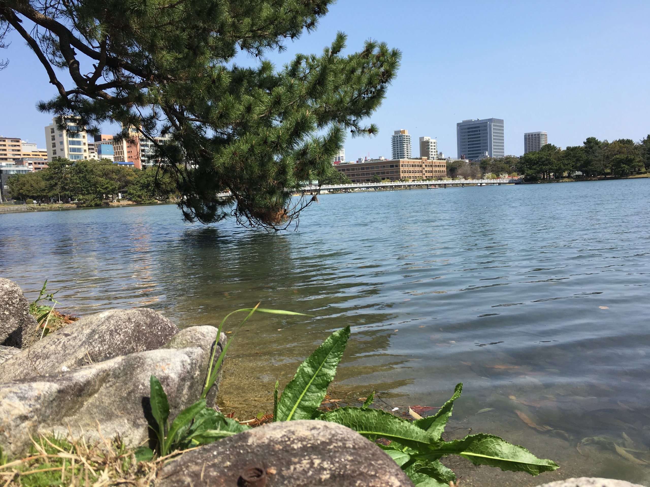 Late-night quietude across Ohori lake