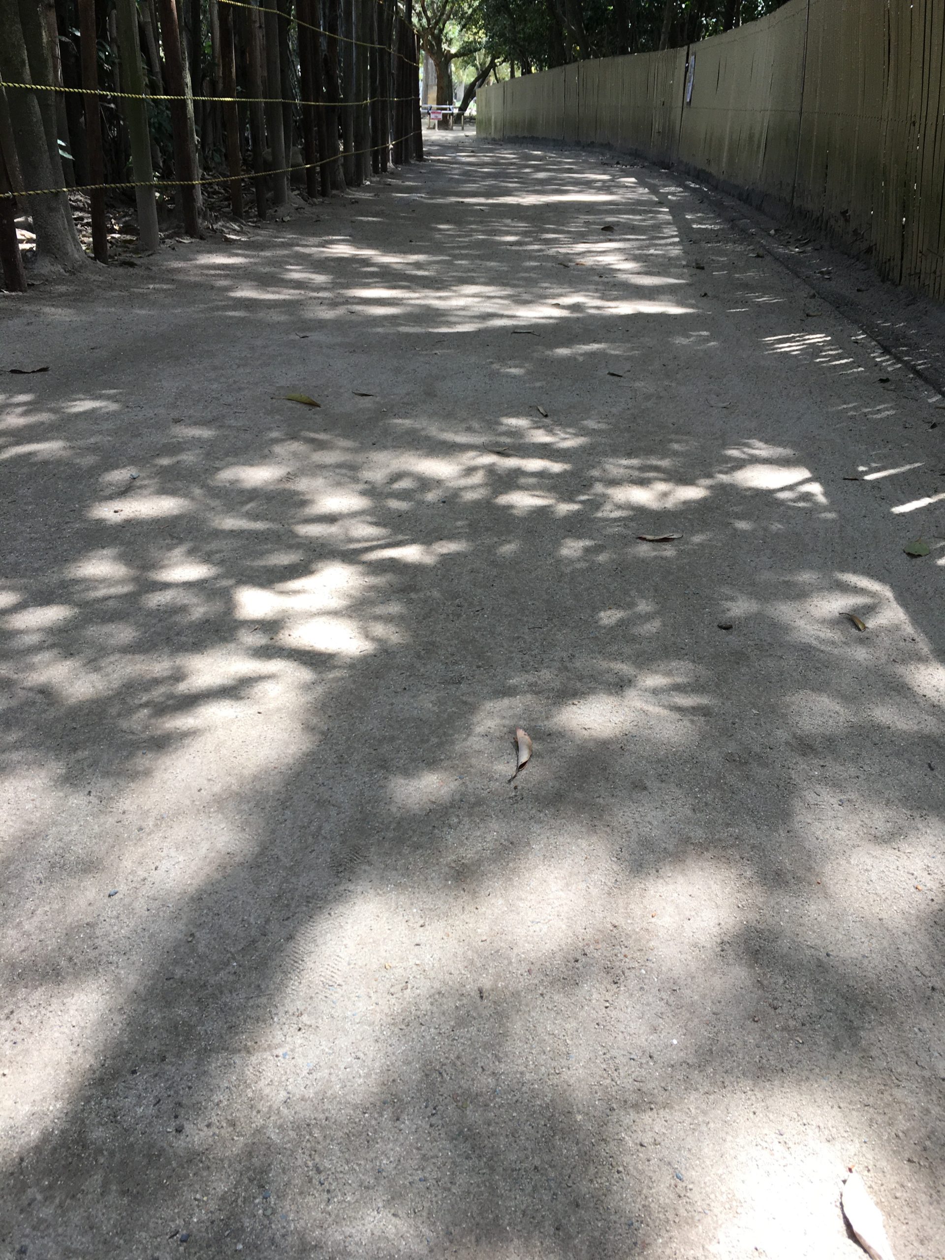 Afternoon reflections across Ohori Park